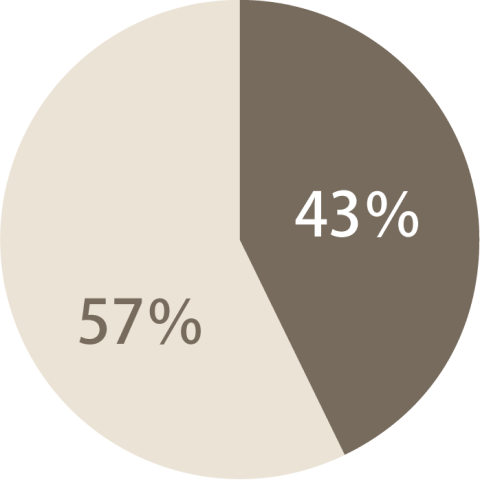 円グラフのイラスト。内訳（50年経過橋梁は43%、50年未満橋梁は57%）